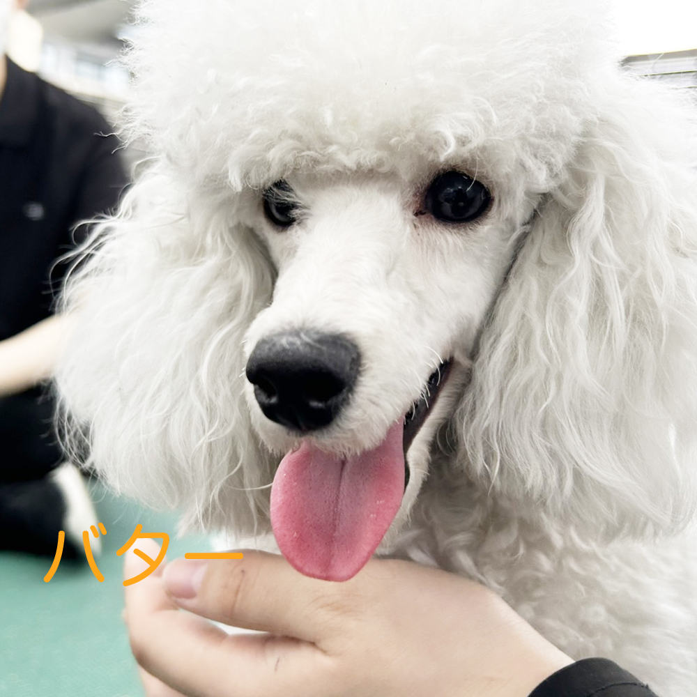 生徒が撮影してくれた写真②